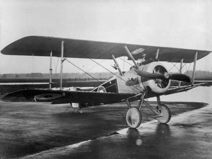 Royal Flying Corps Sopwith F.1 Camel during WWI.