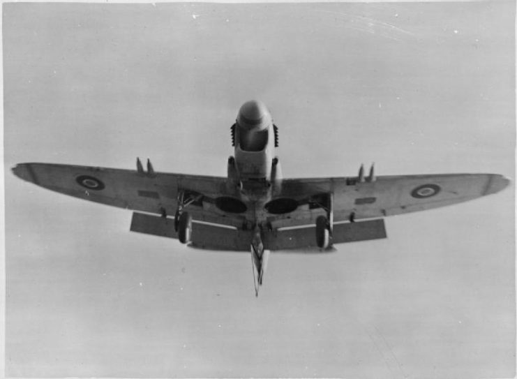A Fairey Firefly about to land on HMS Pretoria Castle.