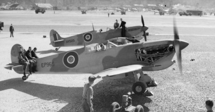 Spitfires under assembly in preparation for Allied entry into North Africa.