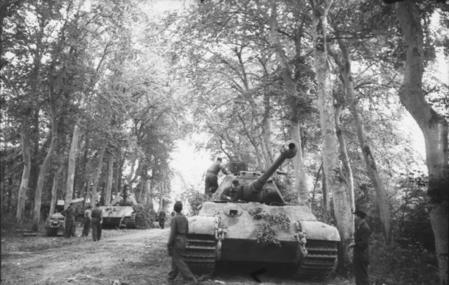 King Tigers belonging to the 503rd heavy tank battalion, hide from Allied aerial reconnaissance. By Bundesarchiv – CC BY-SA 3.0 de