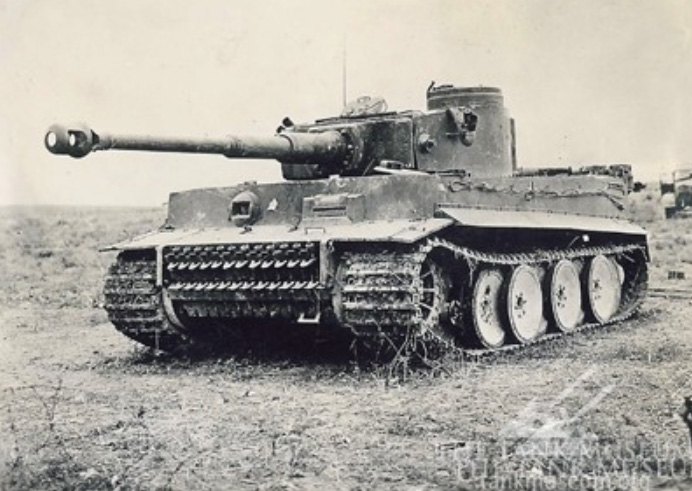Tiger 131 soon after its capture.