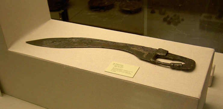A well preserved falcata showing the slight curve and sharp point. By A well preserved falcata showing the slight curve and sharp point – CC BY 2.0
