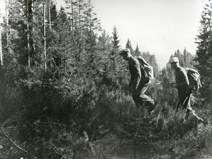 Norwegian refugees passing the open area cut in the woods between Norway and Sweden.