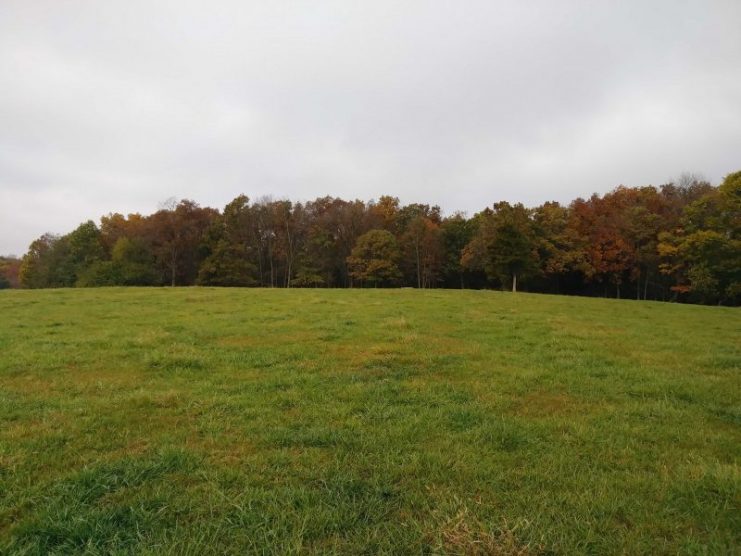 East of Cole Camp is an open pasture where one of the barns once stood that housed members of the German Home Guard unit prior to the Battle of Cole Camp in 1861. A short distance beyond the tree line is where the Butterfield Overland Mail Route once ran. Courtesy of Jeremy P. Ämick.
