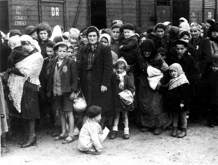Jews on selection ramp at Auschwitz, May 1944