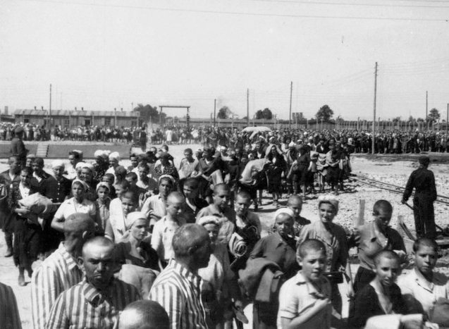 Auschwitz II Birkenau prisoners
