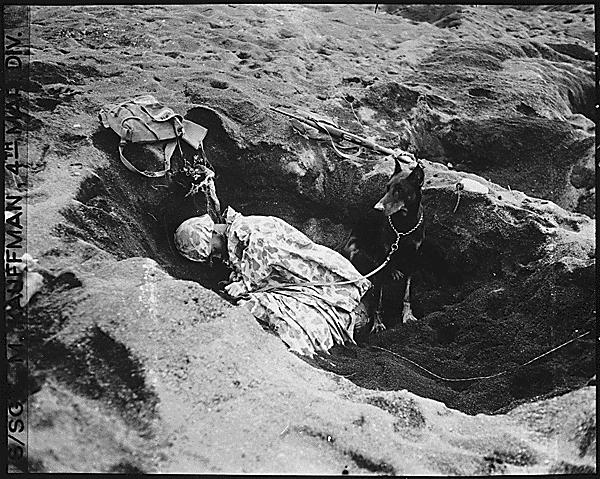 Pfc Reg P. Hester, 7th War Dog Platoon, 25th Regiment, United States Marine Corps took a nap while Dutch, his war dog, stood guard, Iwo Jima, February 1945