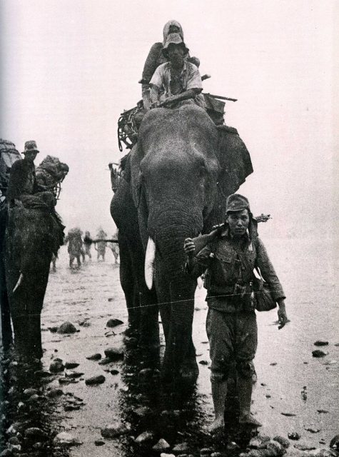 Supplies were needed regardless and both Allied and Japanese troops made use of elephants and other animals for this task, in places no vehicles would ever pass.