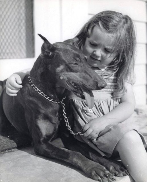 Carole Brick, daughter of USMC Captain Samuel Brick, with a war dog trainee, Camp Lejeune, New River, North Carolina, United States, 1943