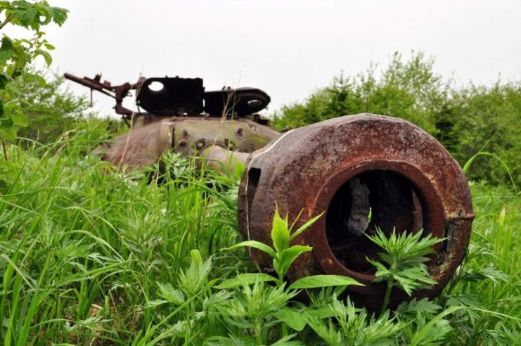 It’s D-25T 1943 cal. 122 mm gun was something to be afraid of. Photo: Yury Maksimov