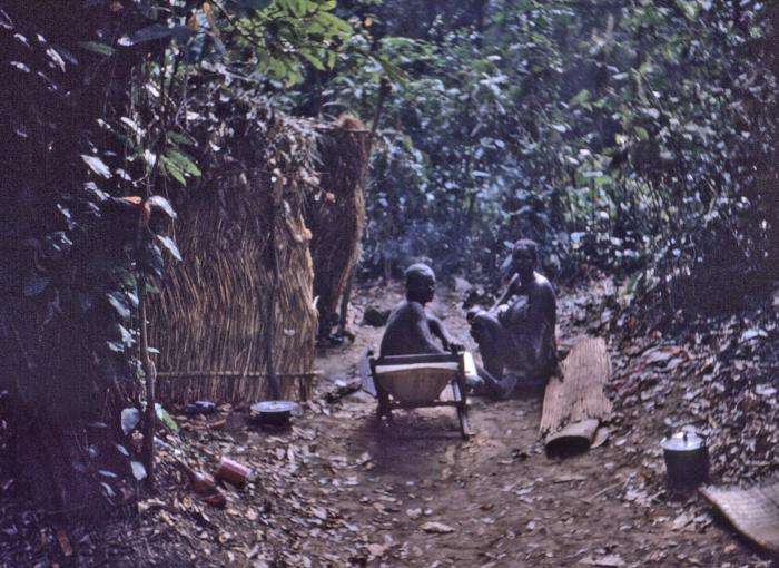 This 1969 photograph depicts a Nigerian Dekina family as they were seated in front of their home during a smallpox infestation. During the Nigerian-Biafran war, members of the CDC refugee relief team were asked to investigate the possibility of a smallpox outbreak in Dekina, which was located north of the Nigerian refugee camps. It was here that CDC’s Dr. Lyle Conrad confirmed that patients were infected with smallpox, and the CDC staff was able to contain the virus, and treat many of the victims.