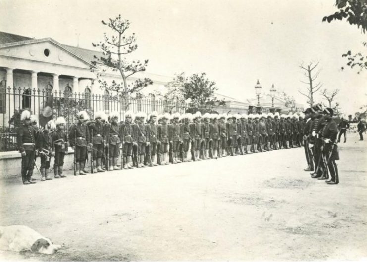 A contingent of the Imperial Guard during an inspection in 1872.