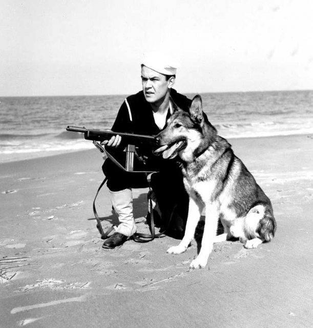 A United States Coast Guardsman with working dog and Reising SMG during WWII