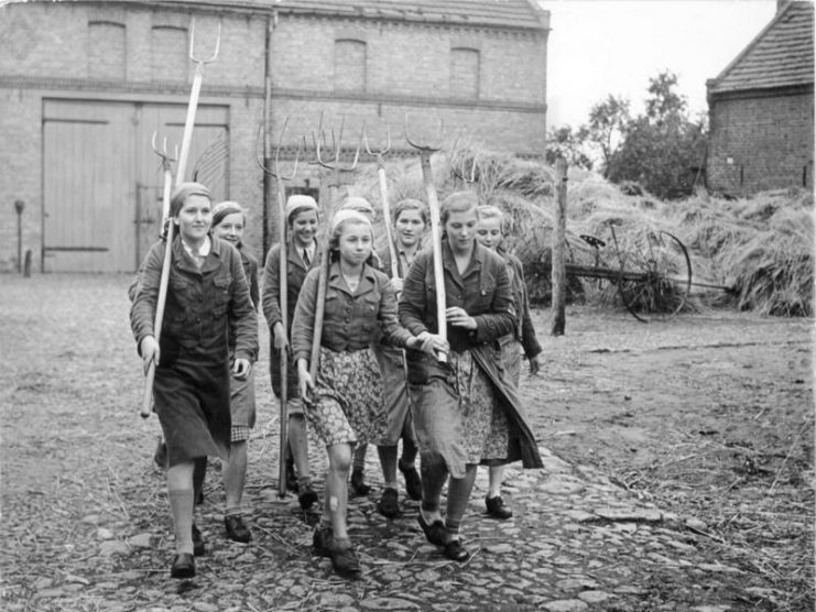 The caption in the propaganda magazine Das Deutsche Mädel (May 1942 issue) states: “bringing all the enthusiasm and life force of their youth, our young daughters of the Work Service make their contribution in the German territories ‘regained’ in the East.Photo: Bundesarchiv, Bild 183-E10868 / CC-BY-SA 3.0