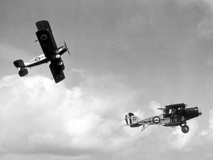 A pair of Bristol Fighters in flight