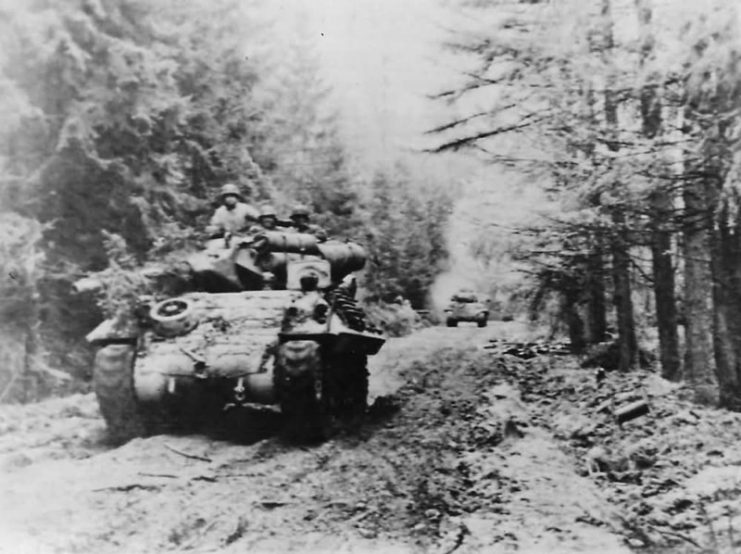 M10 in the Hurtgen Forest 893 Tank Destroyer Battalion.