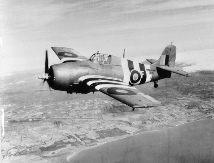 A Fleet Air Arm Wildcat in 1944, showing “invasion stripes”
