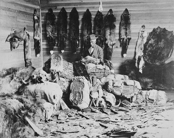 A fur trader in Fort Chipewyan, Alberta in the late 1800s