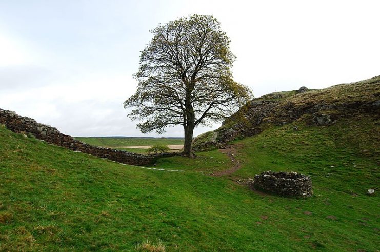 Part of Hadrian’s wall used in the film Robin Hood Prince Of Thieves. By marsupium photography CC BY-SA 2.0