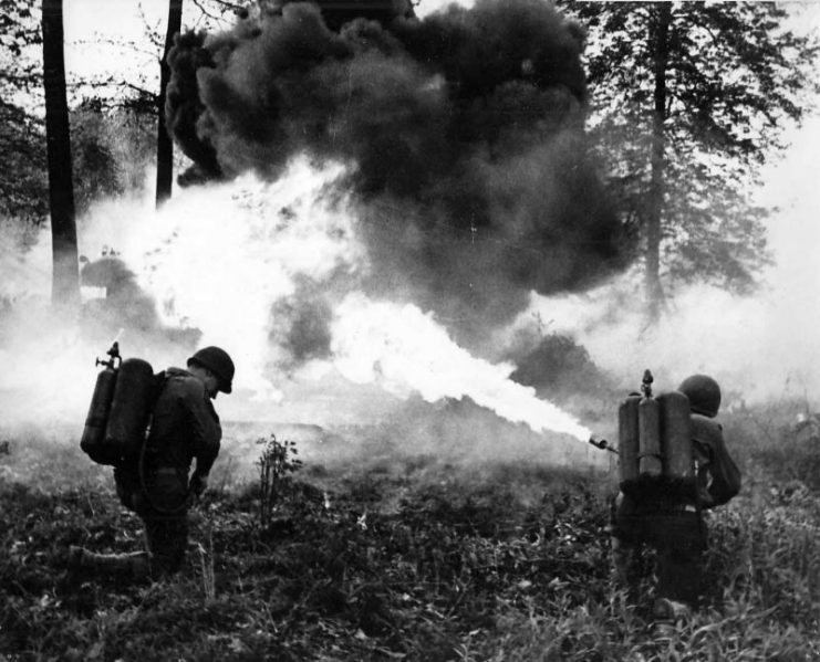 U.S. Troops using flame-throwers to clear brush.
