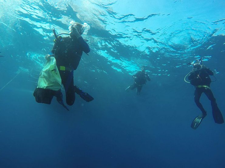 A team of divers descending into the Red Sea. By Ryan McMinds CC BY 2.0