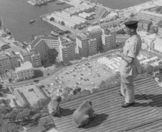 Sgt. Alfred Holmes alongside two Barbary macaques, looking down on the city of Gibraltar.