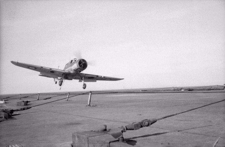 A Blackburn Skua landing on Ark Royal. The Skuas were the mainstay of the Fleet Air Arm during the early Second World War. Also visible are the arrestor wires strung across the flight deck.