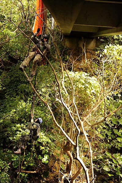 Staff Sgt. Joshua Cunningham rappels from a bridge to save Staff Sgt. George Reed from a simulated parachute catch during element leader upgrade training Jan. 22, 2014, on Kadena Air Base, Japan