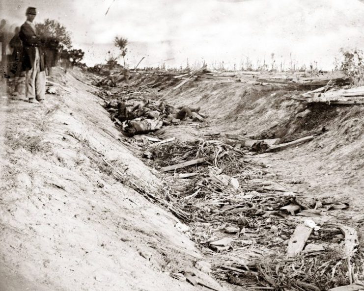 The Down Easters had to march across this grisly sunken road on the way to their own slaughter. (Photo by Alexander Gardner). Library of Congress