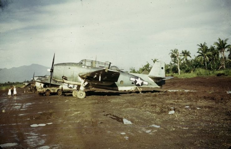 TBM-1C Avengers and an F4F Wildcat, probably with Marine squadrons, lined up at Dulag airstrip, Leyte, Philippines, c. 1944.