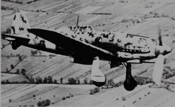 A Macchi C.202 in flight