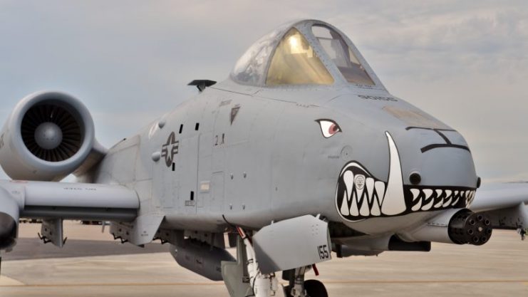 An Air Force A-10 Warthog: Thunderbolt II fighter jet parked on a runway in Tampa, FL in March 2016. This A-10 attack jet belongs to the 442nd Fighter Wing of Air Force Reserve Command (AFRC).