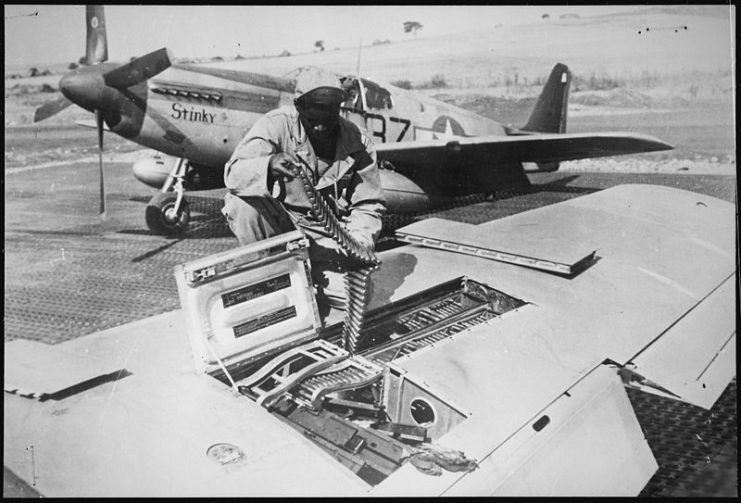 An armorer of the 15th U.S. Air Force checks ammunition belts of the .50 caliber machine guns in the wings of a P-51