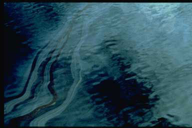 Oil coats the ocean surface near Prince William Sound after the Valdez disaster.