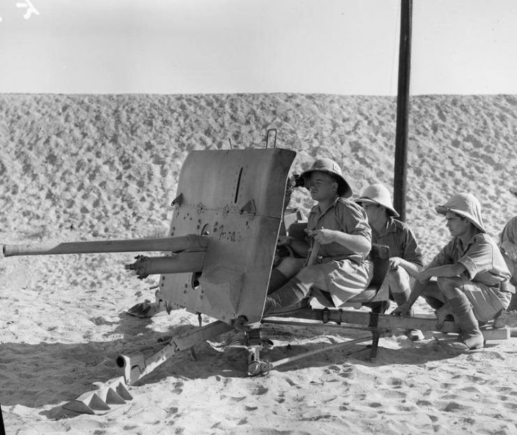 A 2 Pounder anti-tank gun being fired by men of the Free French fighting with British units in the Western Desert, c 1942.