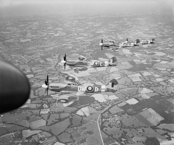 Four Supermarine Spitfire F Mark XIVs, of No. 610 Squadron RAF based at Friston, Sussex, flying in loose starboard echelon formation over South-east England.