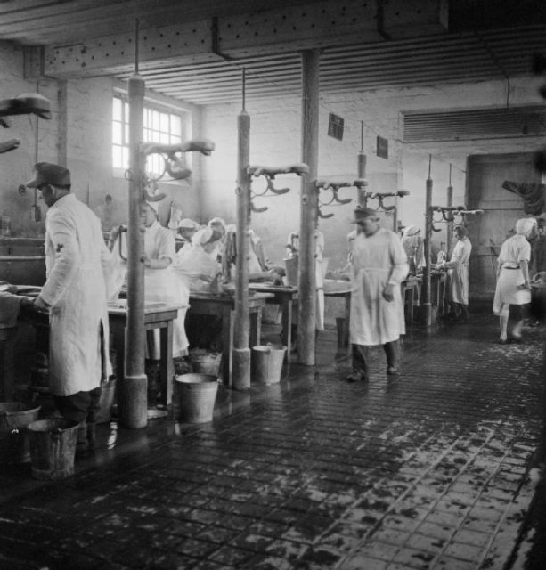 Bergen Belsen.Some of the 60 tables, each staffed by two German doctors and two German nurses, at which the sick were washed and deloused, May 1–4, 1945