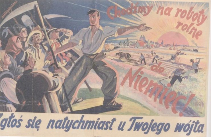 German propaganda poster: “Lets do agricultural work in Germany. Report immediately to your Vogt”.