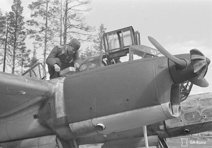 Fw 189 A-3 Uhu of the 1.(H) 32 V7+1J June 1943