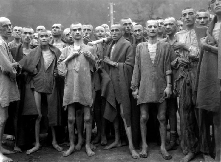 Starved prisoners, nearly dead from hunger, pose in concentration camp in Ebensee, Austria. The camp was reputedly used for “scientific” experiments. It was liberated by the 80th Division. May 7, 1945.Photo: Prachatai CC BY-NC-ND 2.0