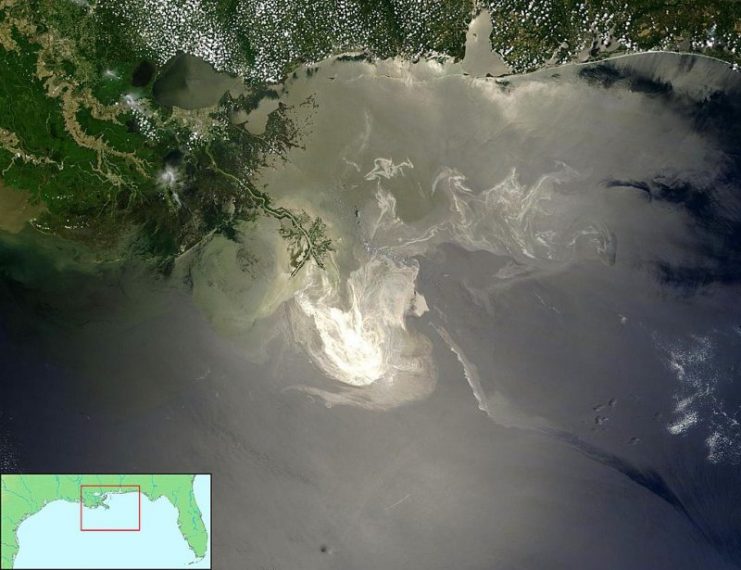 Deepwater Horizon oil spill –