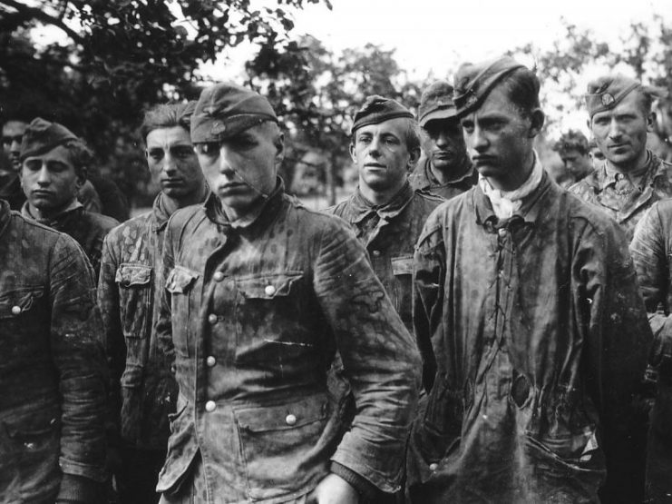 German soldiers of the Waffen SS