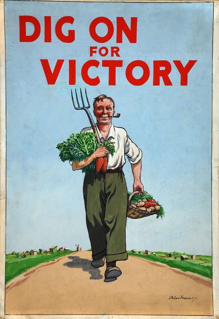 Poster for the “Dig for Victory” campaign, encouraging Britons to supplement their rations by cultivating gardens and allotments.