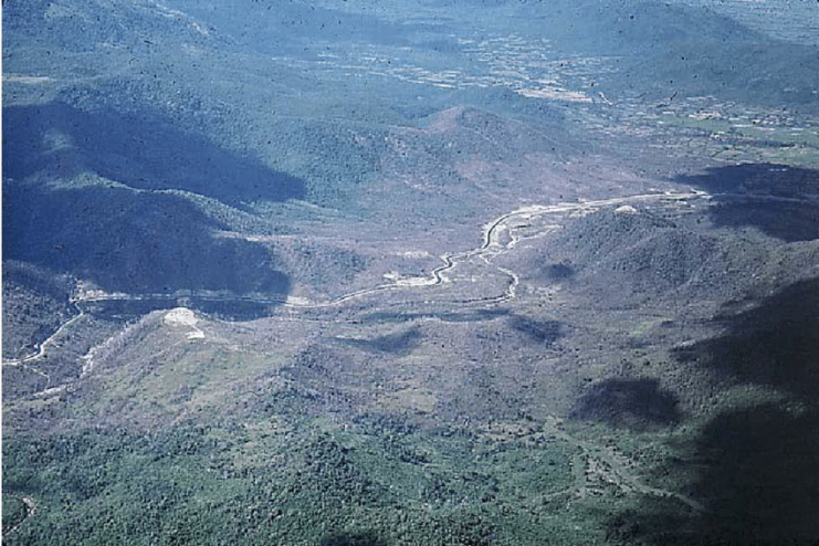 A photograph of the effects of RANCH HAND defoliation missions flown in the spring of 1967 near Highway 19 between An Khe and Pleiku.(Photograph was taken on 31 October 1967, courtesy of J. Ray Frank, Frederick, Maryland).