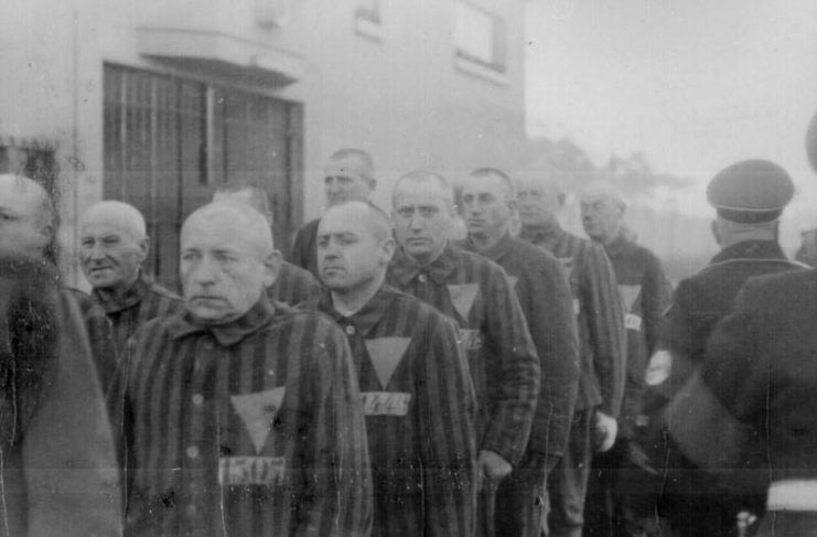 Prisoners of Sachsenhausen.