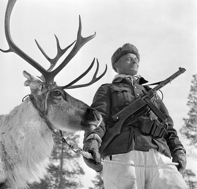 A Finnish soldier with a reindeer in Lapland. Reindeer were used to, for example, pull supply sleighs in snow conditions.