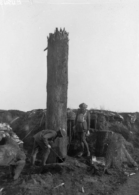 Two unidentified Australian officers examining a tree trunk which was used as an observation post at German House. The color patches indicate the officers are members of the 3rd Division Army Services Corps. (Courtesy of the Australian War Memorial)