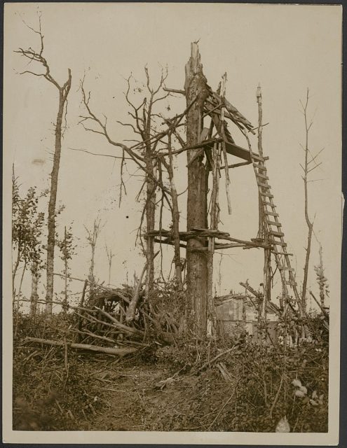 German observation post at a tree – on which our artillery has had a direct hit
