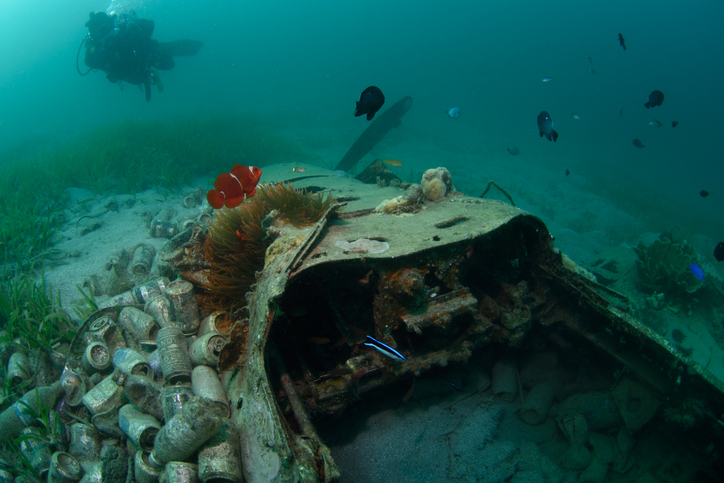 Diver exploring a wreck