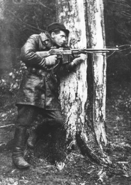Polish partisan Zdzisław de Ville “Zdzich”, member of AK “Jędrusie” with Polish version of the M1918 BAR